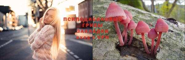 прущий лед Киреевск