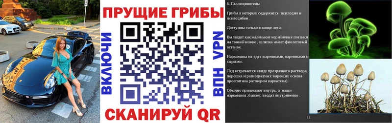 Купить где  Сланцы  Галлюциногенные грибы ЛСД 